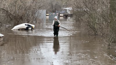 Котів та собак вивозили на човнах: у Кропивницькому всю ніч рятували тварин з затопленого притулку Котів та собак вивозили на човнах: у Кропивницькому всю ніч рятували тварин з затопленого притулку