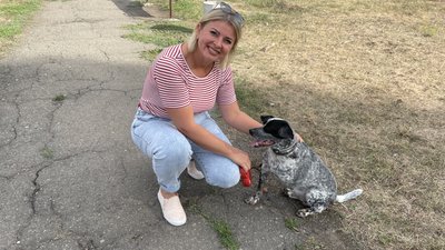 "Всі безпритульні тварини — це результат дії людини". Як Миколаїв вирішує проблему з безпритульними тваринами "Всі безпритульні тварини — це результат дії людини". Як Миколаїв вирішує проблему з безпритульними тваринами