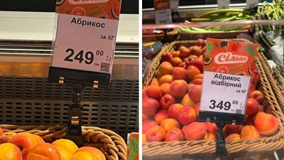 "Точно дорожче, ніж торік" - яких цін на абрикоси очікувати черкащанам у 2025 році "Точно дорожче, ніж торік" - яких цін на абрикоси очікувати черкащанам у 2025 році