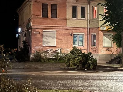 Водій автомобіля збив дерево: у Житомирі на вулиці Перемоги сталася ДТП Водій автомобіля збив дерево: у Житомирі на вулиці Перемоги сталася ДТП