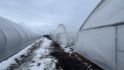 Гранти на сади та теплиці: як отримати аграріям Кіровоградщини Гранти на сади та теплиці: як отримати аграріям Кіровоградщини