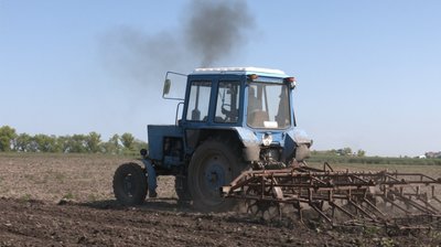 "Погода внесла свої кардинальні зміни": як минула посівна на Черкащині "Погода внесла свої кардинальні зміни": як минула посівна на Черкащині
