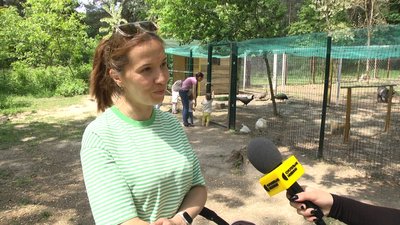 У Житомирі готуються до відкриття купального сезону: чи безпечно у воді та на пляжі Гідропарку У Житомирі готуються до відкриття купального сезону: чи безпечно у воді та на пляжі Гідропарку