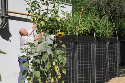 Город на габіонах: як у Херсоні укриття перетворили на грядки Город на габіонах: як у Херсоні укриття перетворили на грядки