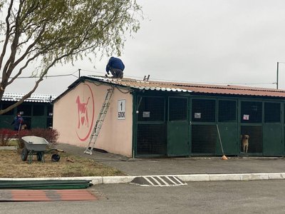 КП "Центр поводження з тваринами" у Харкові, листопад 2024 року КП "Центр поводження з тваринами" у Харкові, листопад 2024 року