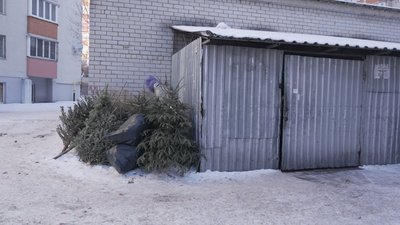 У Вінниці триває сезон утилізації новорічних дерев У Вінниці триває сезон утилізації новорічних дерев