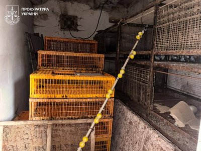Житель Харківщини півтора року зберігав тіло вбитої тещі у сараї, його затримали, коли він намагався перевезти тіло Житель Харківщини півтора року зберігав тіло вбитої тещі у сараї, його затримали, коли він намагався перевезти тіло