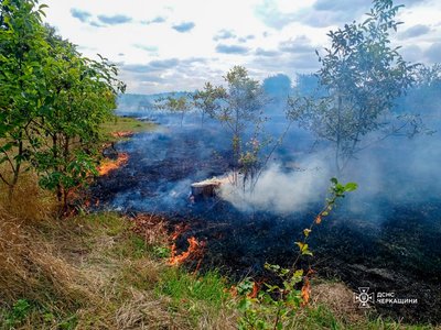 Згоріли понад 11 гектарів: на Черкащині виникло 11 пожеж сухої рослинності