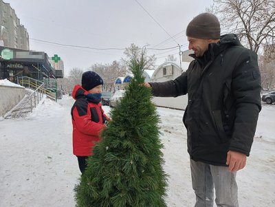 У Луцьку стартував продаж ялинок і сосен до свят: як змінилися ціни У Луцьку стартував продаж ялинок і сосен до свят: як змінилися ціни