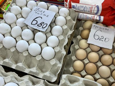 яйця, яйця курячі, яйця домашні, купити яйця, яйця ціна яйця, яйця курячі, яйця домашні, купити яйця, яйця ціна