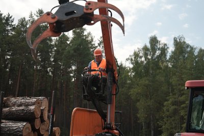 “Не маємо доступу до 17,5 тисяч гектарів лісу”: які результати реформи в лісовій галузі на Сумщині “Не маємо доступу до 17,5 тисяч гектарів лісу”: які результати реформи в лісовій галузі на Сумщині