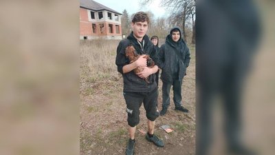 Витягли з водойми: на Вінниччині шукають господарів для врятованого цуценя Витягли з водойми: на Вінниччині шукають господарів для врятованого цуценя