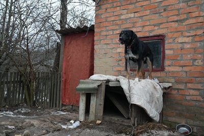 "Часто сниться війна". Історія родини з Херсонської області, яка оселилися на Сумщині "Часто сниться війна". Історія родини з Херсонської області, яка оселилися на Сумщині