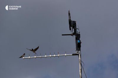 пташки на антені, розрахунок FPV-дронів ГУР МО на півночі Харківщини пташки на антені, розрахунок FPV-дронів ГУР МО на півночі Харківщини