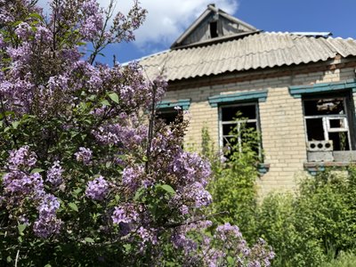 "Корова – годувальниця": як у селі Іванівка на Донеччині родина відновила будинки та тримає худобу "Корова – годувальниця": як у селі Іванівка на Донеччині родина відновила будинки та тримає худобу