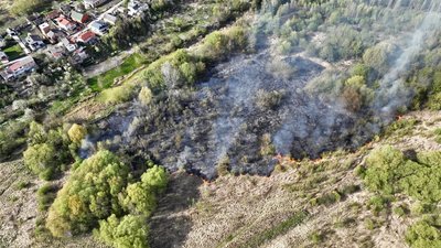 У заказнику "Гнідавське болото" в Луцьку сталася пожежа. Що відомо У заказнику "Гнідавське болото" в Луцьку сталася пожежа. Що відомо
