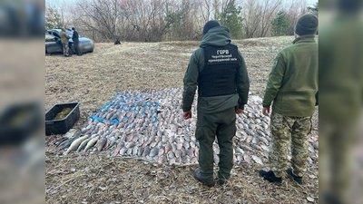 Рік умовно та понад 774 тис. грн компенсації: двом жителям Чернігівщини, які незаконно ловили рибу, винесли вирок Рік умовно та понад 774 тис. грн компенсації: двом жителям Чернігівщини, які незаконно ловили рибу, винесли вирок