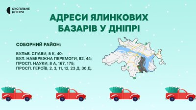 У Дніпрі визначили місця продажу ялинок
