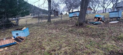 Тепла зима порушила сплячку ведмедів: на Буковині місцеві жителі фіксують появи ведмедя біля осель Тепла зима порушила сплячку ведмедів: на Буковині місцеві жителі фіксують появи ведмедя біля осель