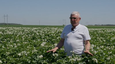 "Чернігівщина – картопляний рай": як її вирощують в регіоні та які є особливості "Чернігівщина – картопляний рай": як її вирощують в регіоні та які є особливості