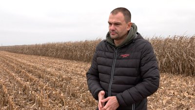 На Черкащині через погодні умови затримується збір кукурудзи На Черкащині через погодні умови затримується збір кукурудзи