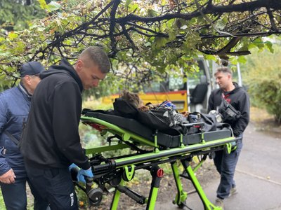 "З'явився Слов'янськ, якого давненько не було вже". Волонтерка "Схід SOS" — про евакуацію з Донеччини "З'явився Слов'янськ, якого давненько не було вже". Волонтерка "Схід SOS" — про евакуацію з Донеччини