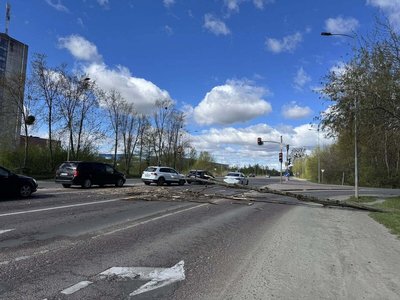 Повалене дерево на роздоріжжі