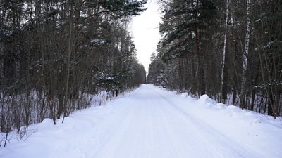 Розмінування на Чернігівщині: які території досі заміновані та чим вони небезпечні Розмінування на Чернігівщині: які території досі заміновані та чим вони небезпечні