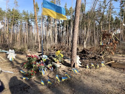 Ліс біля Мощуна Ліс біля Мощуна