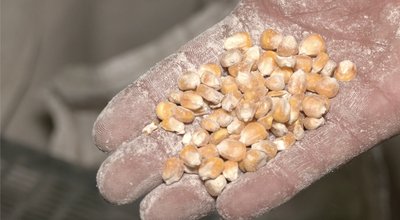 Від підсобного господарства — до готової продукції: досвід черкаських підприємців Від підсобного господарства — до готової продукції: досвід черкаських підприємців