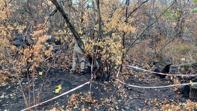 останки пошуковий загон "Плацдарм" загиблі тіла військовий армії РФ Долина Донецька область 14 жовтня 2024 рік останки пошуковий загон "Плацдарм" загиблі тіла військовий армії РФ Долина Донецька область 14 жовтня 2024 рік