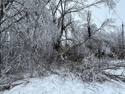 Майже 100 тисяч споживачів на Вінниччині без електрики через негоду Майже 100 тисяч споживачів на Вінниччині без електрики через негоду