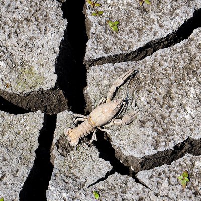 Водопілля на Каховському водосховищі: де можна побачити на Херсонщині і як довго триватиме Водопілля на Каховському водосховищі: де можна побачити на Херсонщині і як довго триватиме