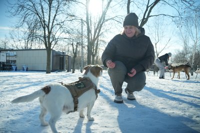 "Собака не тільки має охороняти, а й може працювати в реабілітації": як чотирилапа Берта допомагає дітям і ветеранам "Собака не тільки має охороняти, а й може працювати в реабілітації": як чотирилапа Берта допомагає дітям і ветеранам