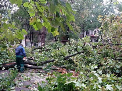Наслідки негоди: в Одесі впало щонайменше 70 дерев і гілок Наслідки негоди: в Одесі впало щонайменше 70 дерев і гілок