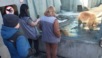 Могли ще поспати: у Черкасах у зоопарку ведмеді прокинулися після зимової сплячки Могли ще поспати: у Черкасах у зоопарку ведмеді прокинулися після зимової сплячки