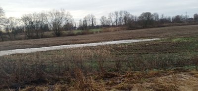 Вода брудна те смердить: у Брусилові місцеві жителі зафіксували скид нечистот в річку Батиївка Вода брудна те смердить: у Брусилові місцеві жителі зафіксували скид нечистот в річку Батиївка