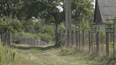 «Шість курок за тиждень»: на Рівненщині лисиці заходять у село «Шість курок за тиждень»: на Рівненщині лисиці заходять у село