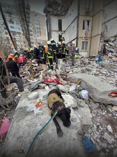 Як вижити під завалами після атаки: поради медика, рятувальника і кінолога Як вижити під завалами після атаки: поради медика, рятувальника і кінолога
