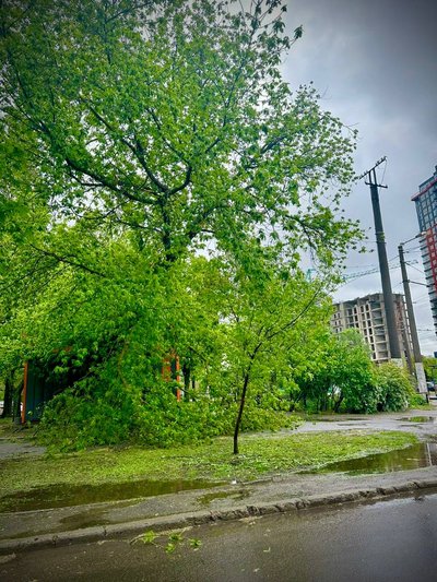 В Одесі через негоду повалились дерева та великі гілки В Одесі через негоду повалились дерева та великі гілки