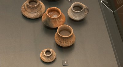 Що вживали трипільці: дослідник з Німеччини вивчає речовини та зілля давніх часів на Черкащині Що вживали трипільці: дослідник з Німеччини вивчає речовини та зілля давніх часів на Черкащині