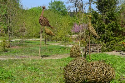 Кременецький ботанічний сад, вироби з лози, Василь Петровський, Тернопільщина, квітень 2025