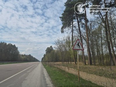 Червонокнижний лось загинув у ДТП на Рівненщині