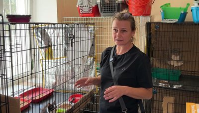 Зоозахисниця Юлія Білобородько Дружківка Донецька область Зоозахисниця Юлія Білобородько Дружківка Донецька область