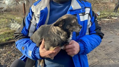 Чотири роки повномасштабної війни на Черкащині у світлинах Суспільного