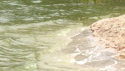 "Дихати неможливо": щоліта в річці Гнилий Тікич застоюється вода та задихається риба "Дихати неможливо": щоліта в річці Гнилий Тікич застоюється вода та задихається риба