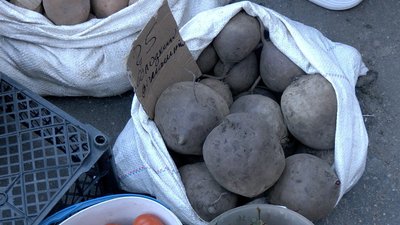Ціни зросли через неврожай: яка вартість овочів на вінницьких ринках Ціни зросли через неврожай: яка вартість овочів на вінницьких ринках