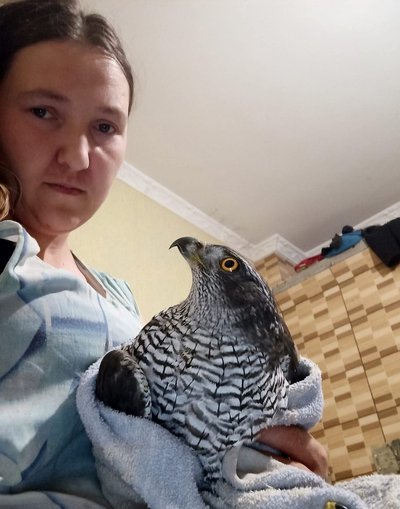 Чому утримання диких тварин у домашніх умовах може завдати шкоди: пояснення волонтерки з Хмельниччини