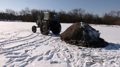По хліб — за 10 кілометрів: один день з життя прикордонного села Кам’янська Слобода, що на Чернігівщині По хліб — за 10 кілометрів: один день з життя прикордонного села Кам’янська Слобода, що на Чернігівщині