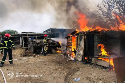 Під час пожежі у Криворізькому районі надзвичайники врятували цуценя Під час пожежі у Криворізькому районі надзвичайники врятували цуценя
